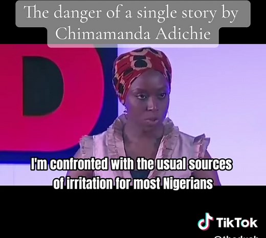 Understanding the Risks of a Single Story