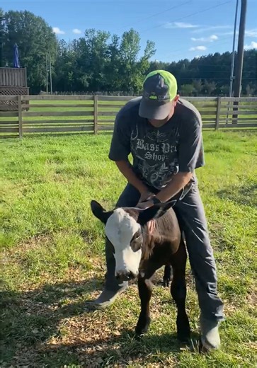 Yall. This is my dad 😂 #cowboy #bullriding #funny #falling #shouldvebeenacowboy #rodeo #farmlife #cowriding