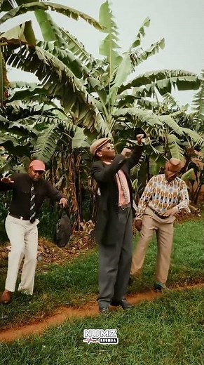 Nairobi Night by Lokassa Ya Mbongo & Soukous Stars Released 1994