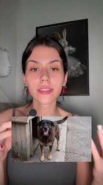 31 de janeiro de 2026