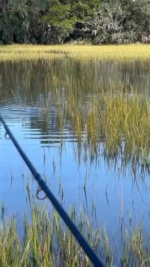 33 reactions | Tailing Reds | Buddy Bizzell | Facebook