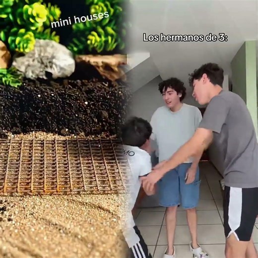 ASÍ SOMOS LOS HERMANOS 😂#humor #funny #sketch #gracioso #actuación #pov #shortvideo