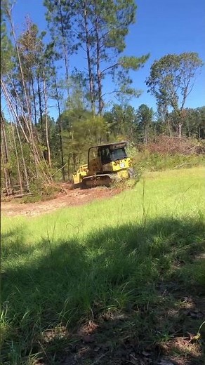 D5K2 CAT DOZER PUSHING DOWN TREES!