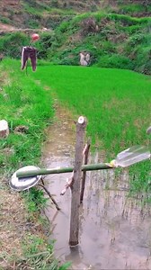 2.3M views · 10K reactions | What an idea | Beautiful World | Facebook