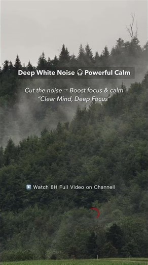 Ultimate White Noise | Block Distractions & Focus
