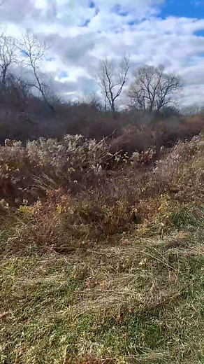 106K views · 190 reactions | Snowmobile club has been here 2 times in...