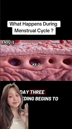 Proses menstruasi #menstrucare #period #menstruasi #haid