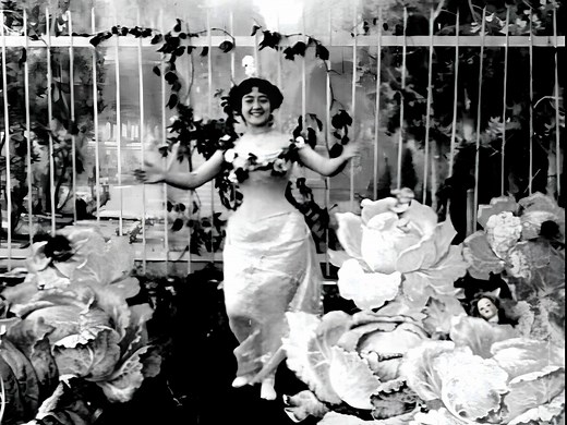 'La Fée aux Choux': the world's first narrative film