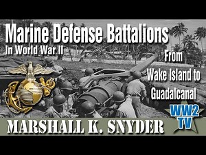 Marine Defense Battalions in World War II From Wake Island to Guadalcanal
