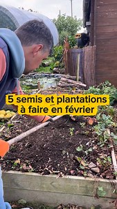Semis et plantations à faire en février On commence avec les semis 🌱 au chaud à faire dans la maison derrière une fenêtre. Semis de poivrons, piments, aubergines 🍆 🍆 Toujours au chaud dans la maison on peut faire germer la patate douce dans un bocal avec de l’eau et faire germer une chayote. 🌱 En extérieur sous abris ou sous serre en semis en pot ou plaque. -petit pois semis début février plantation début mars -laitue semis février plantation mars récolte avril -persil semis février plantati