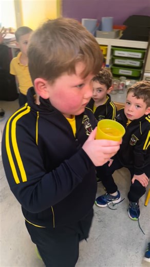 ✨🔬 Science Week Fun in Senior Infants! 🔬✨ We balanced on balloons, made dancing raisins, watched colours race from Skittles, created our own lava lamp, and explored so many amazing experiments! 💥🧪 Our little scientists had a blast discovering how exciting science can be! 🌈🧠💫 #ScienceWeek #JuniorScientists #LearningIsFun #STEMinAction #CuriousMinds | Corville NS