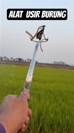 skill to chase away birds without touching & killing #trendingshorts #experiment #lifehacks