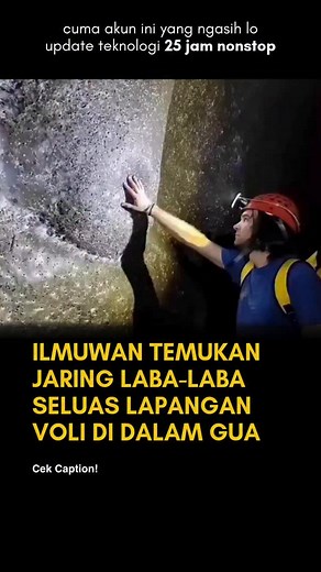 Para ilmuwan menemukan sarang laba-laba masif di perbatasan Albania-Yunani. Lokasinya ada di dalam gua belerang. Luas total jaringnya mencapai 106 meter persegi. Sebagai perbandingan, itu hampir setara dengan luas lapangan voli standar. Analisis populasi mengestimasi ada sekitar 111.000 laba-laba yang hidup di dalamnya. Koloni ini adalah gabungan dua spesies utama. Ada 69.000 laba-laba rumah (Tegenaria) dan 42.000 laba-laba penenun (Nesticella). Secara biologis, ini adalah fenomena yang sangat s