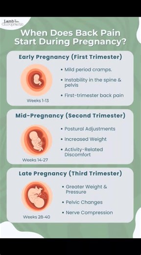 4.4K views · 81 reactions | WHY DOES YOUR BACK HURT DURING PREGNANCY....
