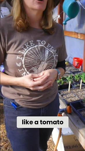 How Many Seeds Should You Plant per Cell?