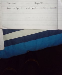 Draw four types of asexual reproduction methods of reproduction... | Filo