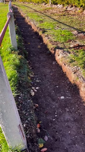 38 reactions | More work carried out at The Red Lion Ground as we begin installing a new concrete path around the pitch ‍♂️⚽️ The only way we can keep improving our community football club is through the incredible support of our fans and local businesses — so your backing is always massively appreciated ❤️ A big thank you to Hicks Demolition for the use of their mini digger and continued support  #UTS ⚪️ | Brereton Social Football Club | Facebook