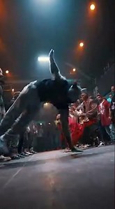 dog vs cat dance battle #dogs #cats