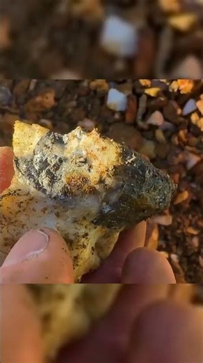 First Piece of Gold Found! #shorts