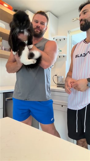 Mr. Kitty is the PURRFECT Kitty! He dances and never ever brings his claws out ever! 🐈‍⬛🧸🕺 | Michael Robert McCauley