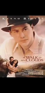 Title: A Walk in the Clouds 1995 ‧ Romance/War #fypシ #romancemovie #movies | Post N' Play
