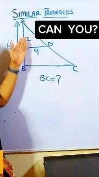 Similar Triangle explicitly explained!