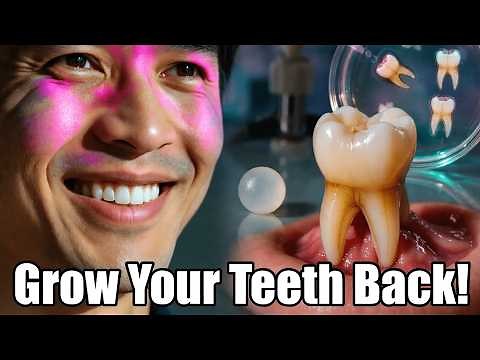 Scientists Can Now Regrow Human Teeth 😱(on trials)