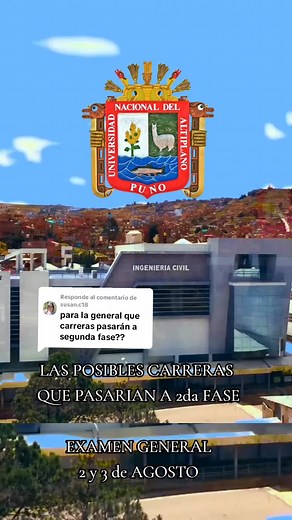 UNAP Puno Examen Ing Civil 2da Fase Agosto