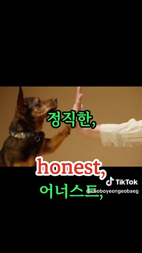 왕기초 영어 형용사 100개 정리 영상
