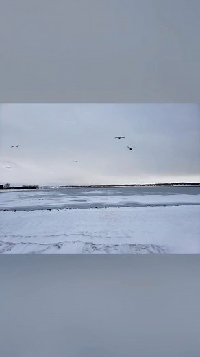 Seamless Technician & Designer Santoni Circular Knitting Machines on Reels | Facebook