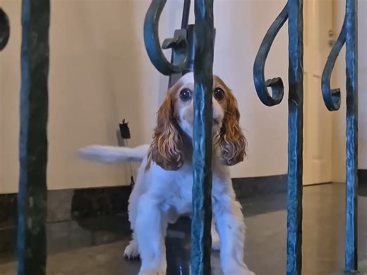 StrayKids方灿的父亲260410ins更新：Berry的欧巴回韩国了