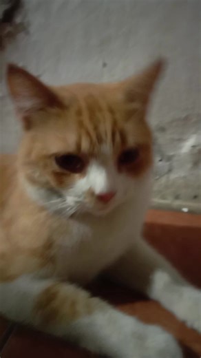 Resna Rusmeilina on Reels