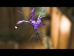 Fallout 4 how to get Secret Ending which NO ONE KNEW