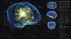 Futuristic Head Display Virtual Holographic Biomedical Stock Footage Video (100% Royalty-free) 1062524326 | Shutterstock