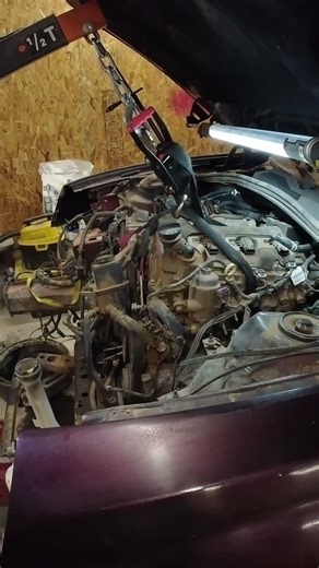 Woah! Its Free Yahee