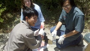 Wilderness First Aid Class 8 hour class