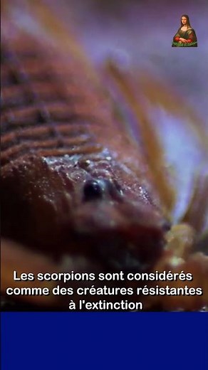 Le scorpion est une créature résistante à l'extinction