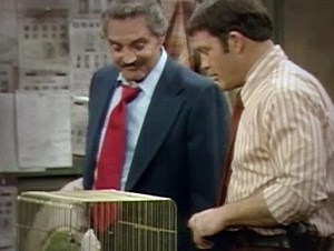 Barney Miller S06E07 The Bird