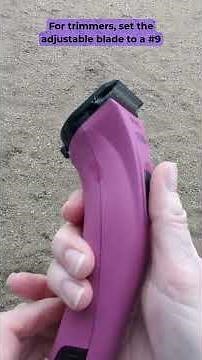 Clipping and Trimming for a Horse Show