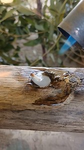 Sn tips #shortreel #Amazing | Sn tips5