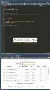 Create a searchable table in 60 secs | RStudio and DT