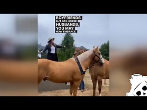 Crazy White People And Their Gay Horse Fantasy