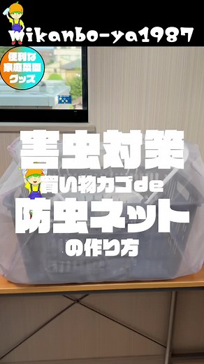 #防虫 #家庭菜園 #害虫対策 買い物カゴと毛布用ネットで簡単防虫ネットを作ってみました！自立型で小さなバケツ栽培やペットボトル栽培なら使いやすいと思います！8号植木鉢の養液栽培にも使用できます！これから秋にかけて種まきをしようとしている方におすすめ！虫がたくさん出てくる時期の防虫対策に参考になれば嬉しいです。背が高くならない野菜なら最後まで育てられます。大きくなる野菜でも生育初期だけでも守れるのは大きいですよね！ 作り方は簡単、買い物カゴにダイソー毛布用ネット円柱型を装着するだけ！あっという間に防虫カゴができちゃいます！新芽がシンクイムシに食べられたり、葉にコナジラミがたかったり、アブラムシが集まってきたりという心配が減って植物も元気に育つことでしょう！メッシュが細かいので安心！その分少し遮光されるので陽当たりの良い所で使用しましょう！ またハダニやアザミウマのような小さな虫は入ってくる可能性もありますのでネットに入れてても観察は怠らないようにしましょう！ 持ち手をうまいことあげたままにすると天井が高くなって使いやすくなります。 自分で食べる物は自分で採りたい！ 省スペースでも出来る