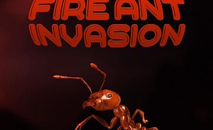 Fire Ant Invasion