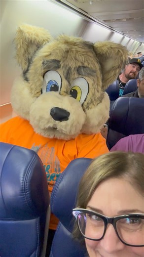 31K views · 750 reactions | This is my new friend Coyote who I met on my flight back to Pittsburgh. This reminded me that Anthroocon is happening this week so look for furries downtown! #Pittsburgh #furries #Anthrocon | Michelle Wright WTAE | Facebook