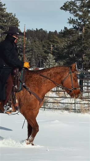 can we get a yeehaw? 𐚁 — #cowboy #yeehaw #ranchlife #winter #snow #horses #horsebackriding #western #duderanch #vacation #duderanchvacations #colorado #adventure | Sundance Trail Guest Ranch: A Colorado Dude Ranch