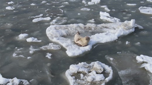 Are we in the Arctic? Arctic New Jersey? | Wildwood Boardwalk
