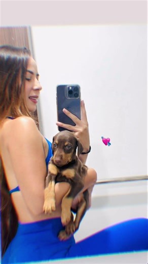 Mi pequeña bebé dóberman 💘 #doberman #babygirl