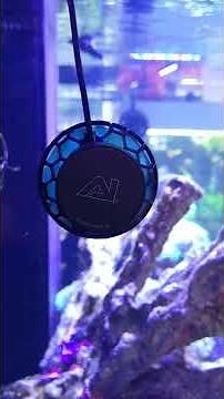 AI NERO 5 WAVE MAKER