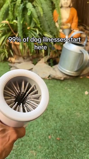 Okay, the paw cleaner is a legit win. I was skeptical, but no more towel struggles after muddy walks. He just sat there and let it happen, which is the real victory. My floors are thanking me. | Canineando.com